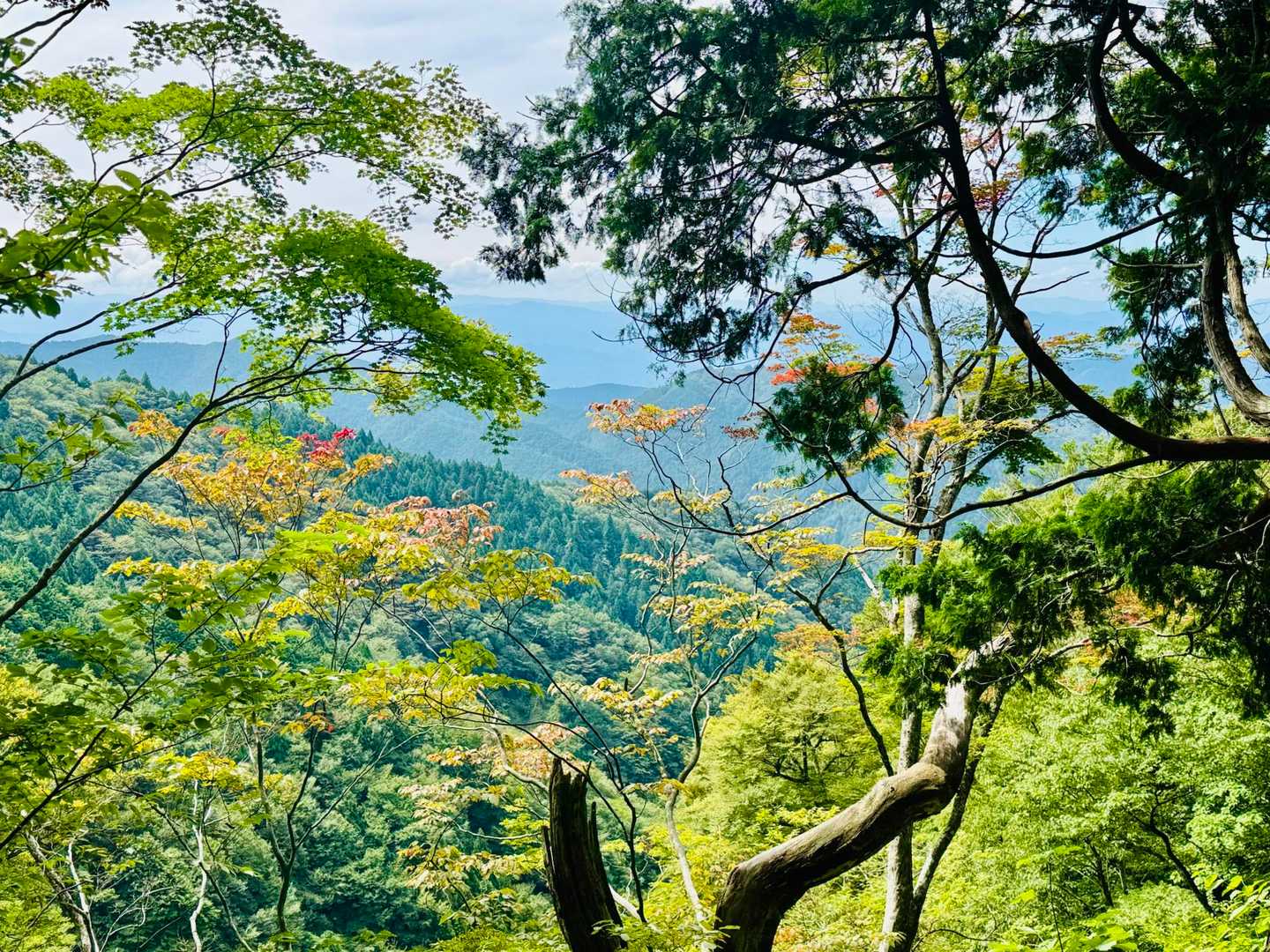 少し秋🍂
