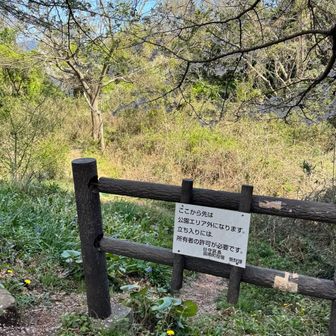 実はもう一座、茶臼山という山があるのだが、いつのまにかこんな立て札があって、仕方なく日守山にて下山。