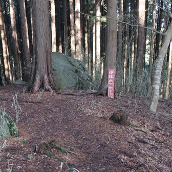 目の前の石が「虎御前石」らしい。
海抜666メートル。
数字の並びが心地良かったのでクソポイント-1