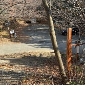 下山、すれ違った登山者は9人で
顔馴染みの常連さんには会えずに😥