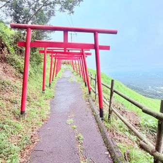 　　　　　　⛩️⛩️⛩️⛩️⛩️
　　　　さぁ大分へ帰ろう
　　　　あ〜　お腹が空かない😓
