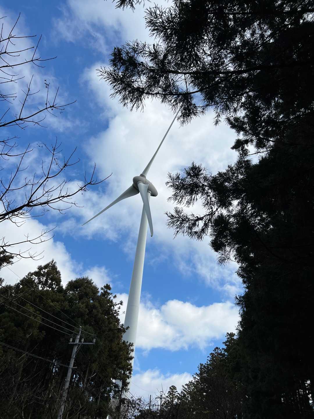 ほうほう〜いいね🐈
電柱の先の答えだよ🐈‍⬛