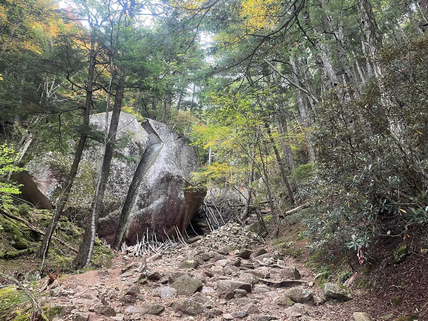 桃太郎岩の周りはすこーし紅葉🍁