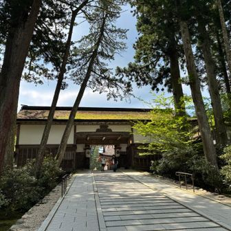高野山は、まだ涼しいです。