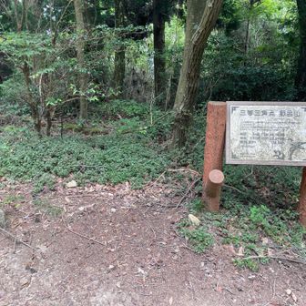 弘法寺の裏に野呂山の三等三角点があります。７８８．８４ｍ。