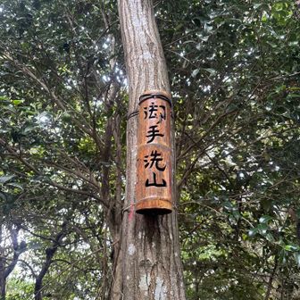 竹細工の御手洗山ピーク⛰️