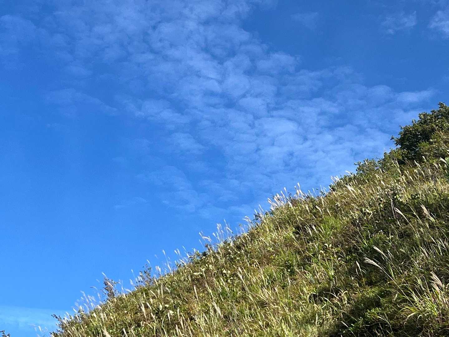 青空きれい！🩵