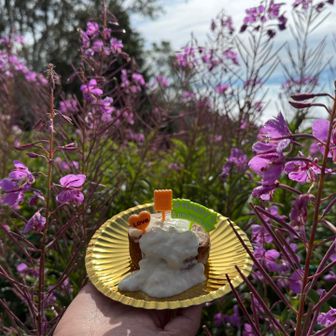 お花畑で食べました🌟