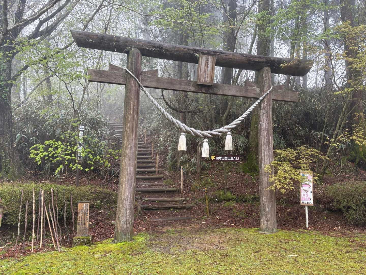 諸塚山 往復コースの写真