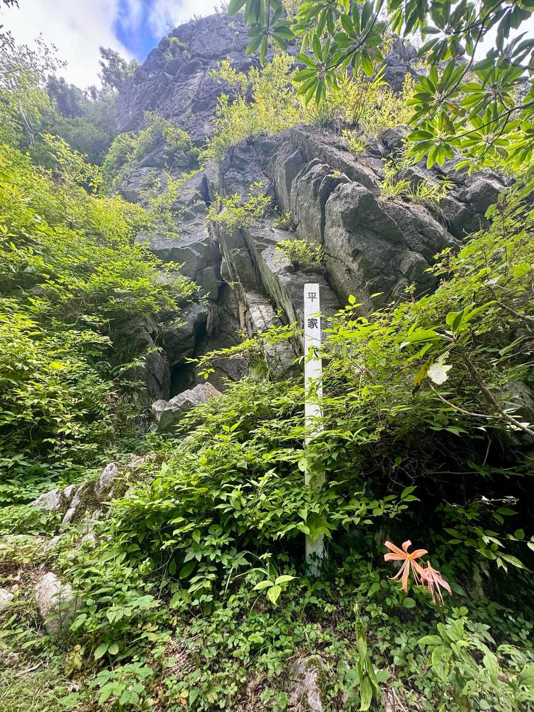 穴は小さそう🕳️