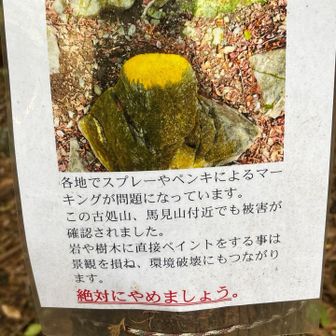 入り口に案内💁‍♀️あり