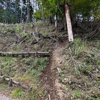 ほとんど崖みたいな斜面を下り林道に合流