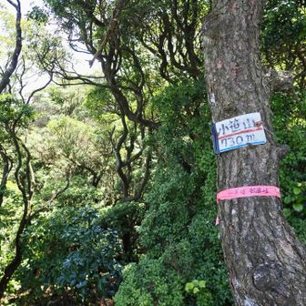 小笹山山頂