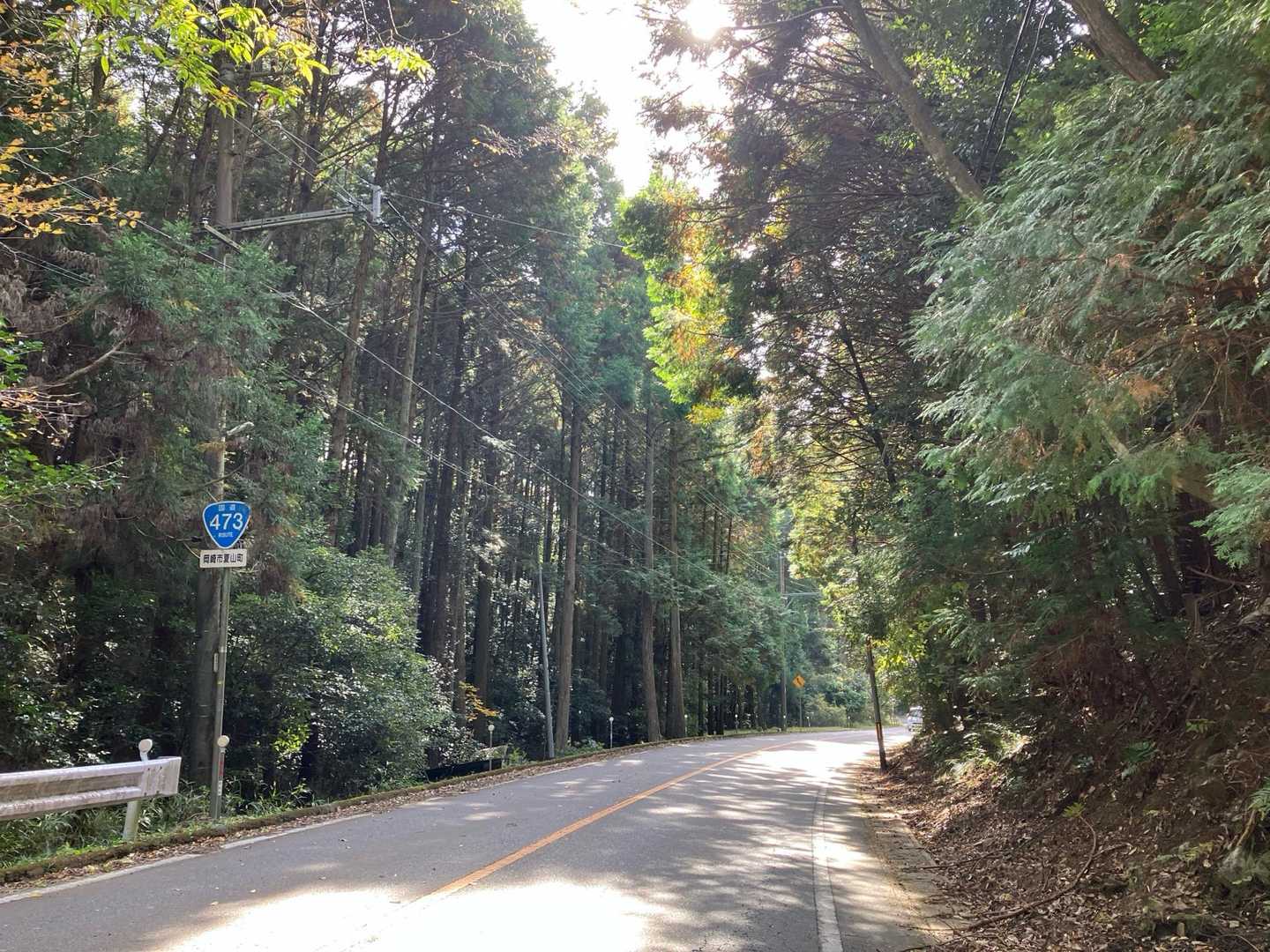国道473を歩いて戻るのキツイなぁ😓
