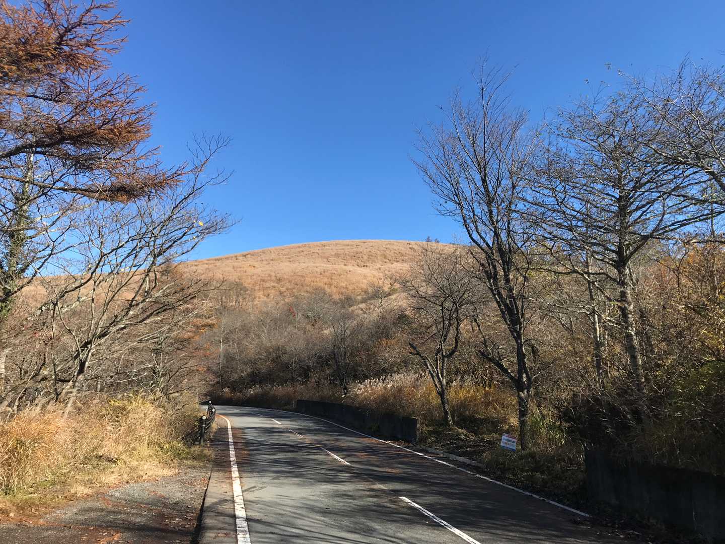 鉄砲木ノ頭を望む。樹林帯がなく展望最高。