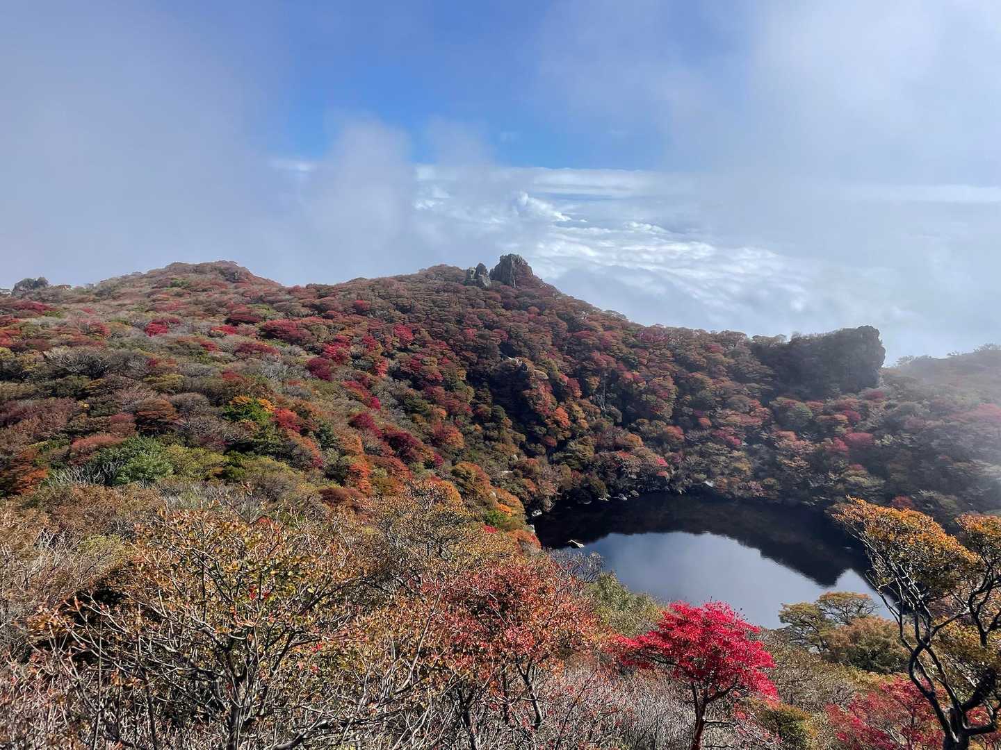 これから冷え込むと一気に進みそう🤔