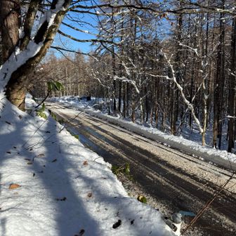 休み休み歩いて無事生還。駐車場は3台。今日はガラガラでしたね。混むのはもっと雪が締まった年明け以降ですかね。