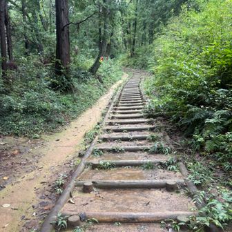 今日は天覧山には寄らず直接多峯主山に向かいます！
見返り坂を登ります💦
水も溜まってるので慎重に🥹
