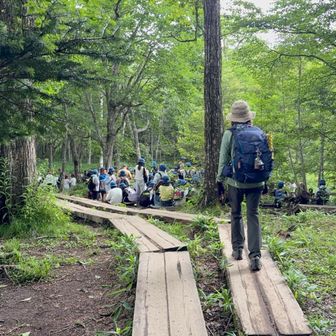 お〜〜
小学生の団体が楽しそうに休憩中なのでUターン
