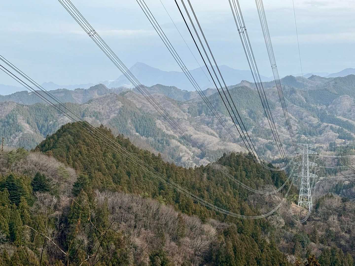 遠くにあるのは武甲山かな？