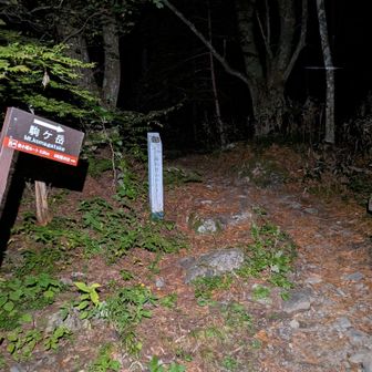 桂小場登山口。
仮設トイレあり。
気温13℃。
前日の睡眠がうまく行かず、体調いまいちではある。