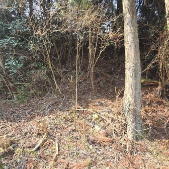 入って右へ　テープあり