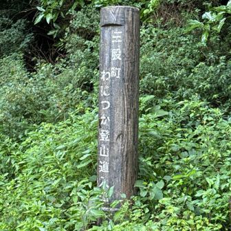 中々 距離はありますね ここまで