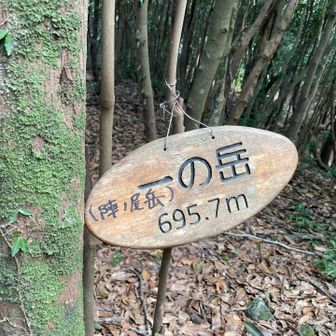  一の岳ピーク手前の登りで
また硬直フリーズして動けず、
旦那が登ってくのを無言で見守る✨笑
あ、気付いて戻ってきた！
他のランナーさんも笑ってた🤣

私は動けなくて、またニヤニヤ😏
旦那に気持ち悪いからニヤニヤニヤやめい！と怒られ😂
マッサージとジェルで復活！
マッサージありがとう💓