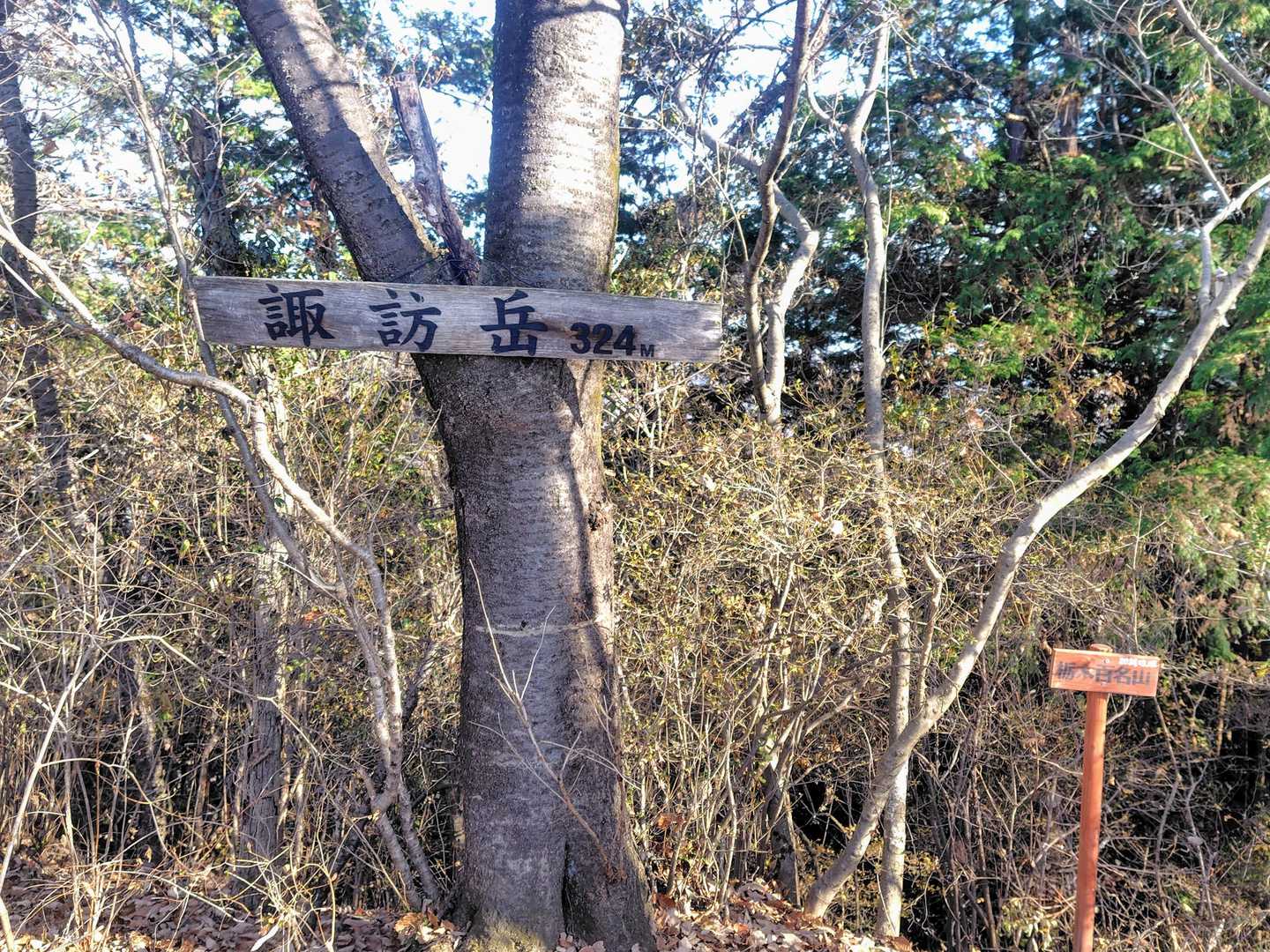 諏訪岳の山頂標識☺️　立派な三角点もありました👍