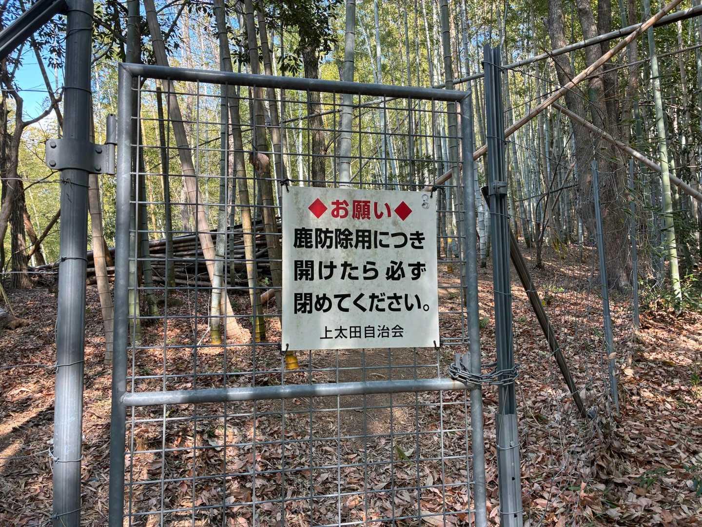 ここまでは落ち葉の急登😮‍💨