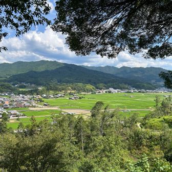 あちこち掘ったら色々出てきそう。
