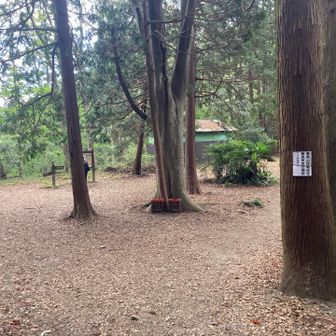 小仏峠