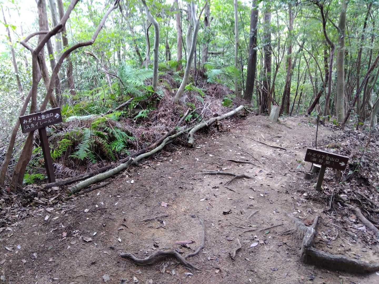 分岐点。