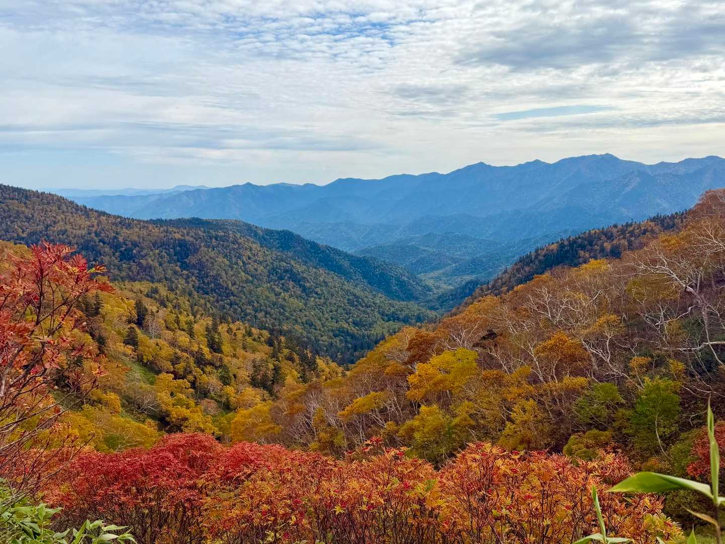 平山登山口-平山-比麻奈山-比麻良山 往復コースの写真