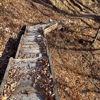 歩きやすい登山道