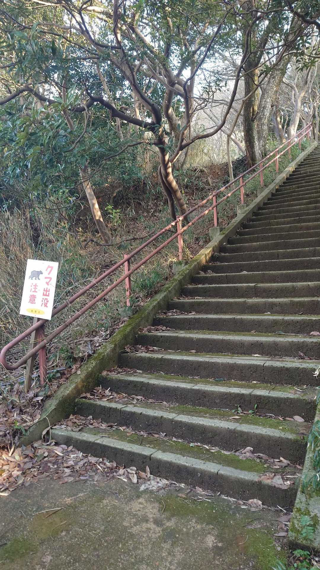 階段多い😅
熊でるとこなのか？🧸💦