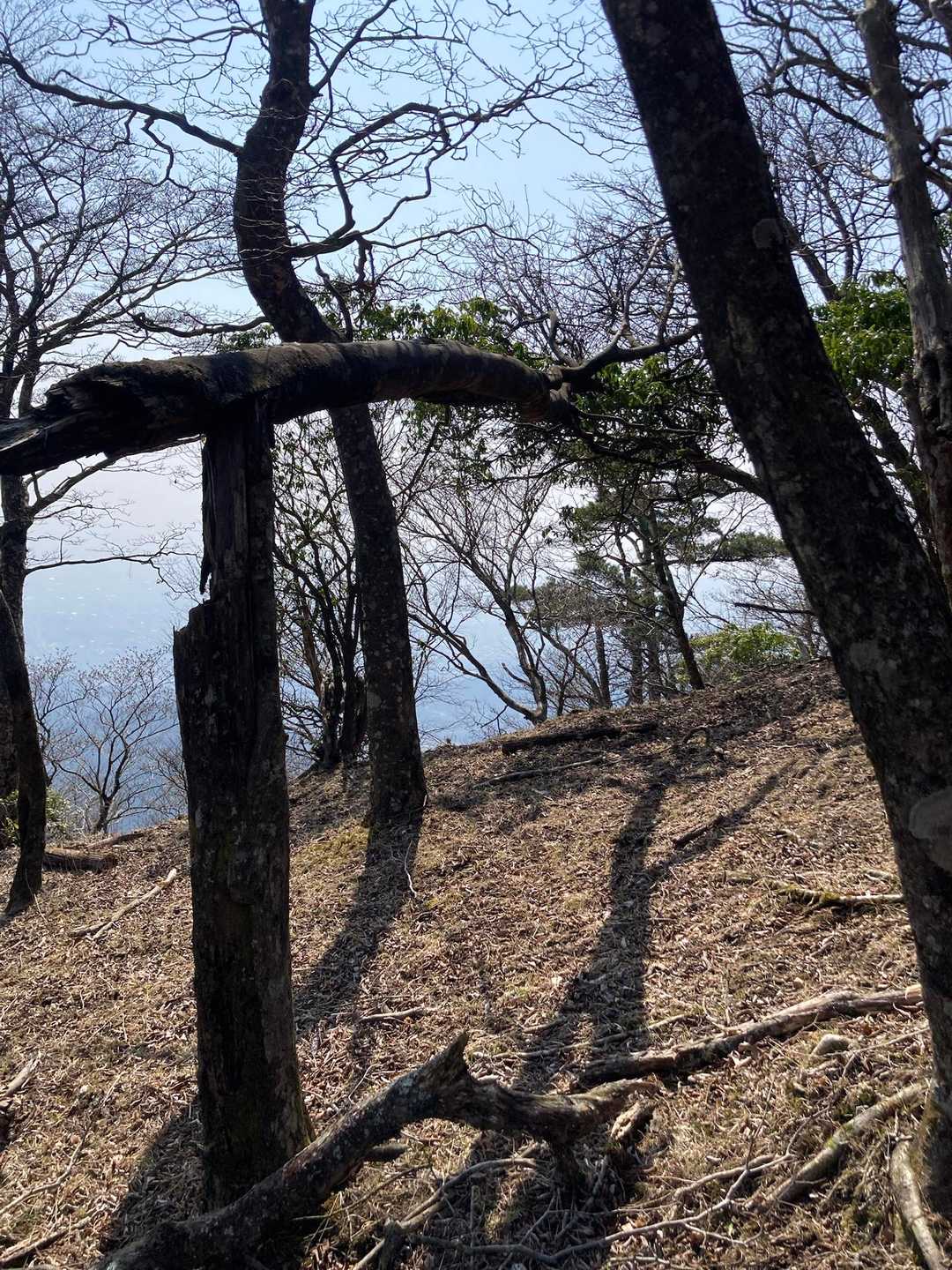 直角　その1
