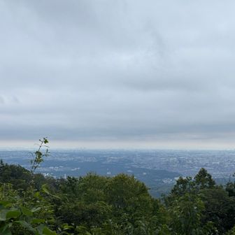山頂から都心方向