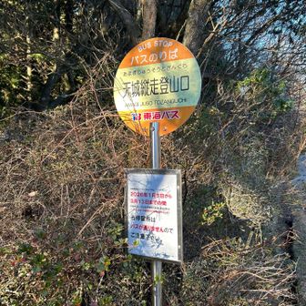 この時期はここまでバス来ない・・・