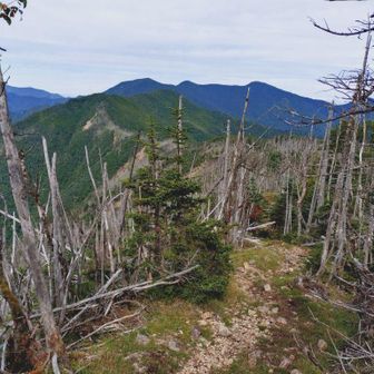 破風山と奥は木賊山、甲武信ヶ岳、三宝山
