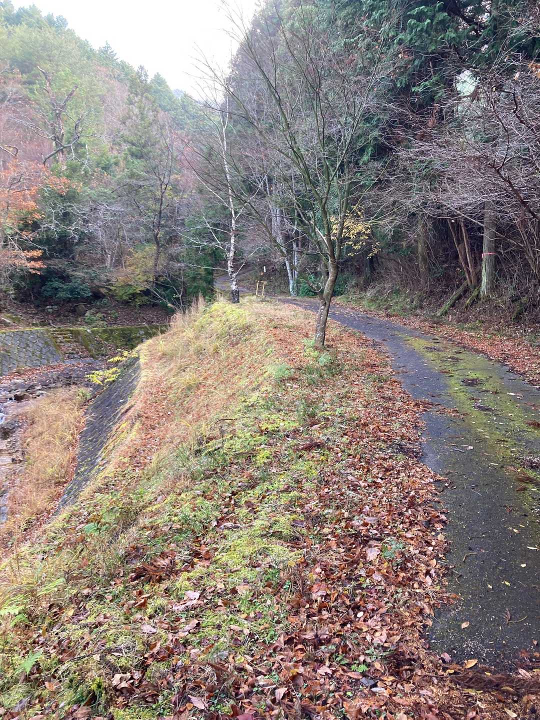 先ずは油日岳(あぶらひだけ)へ