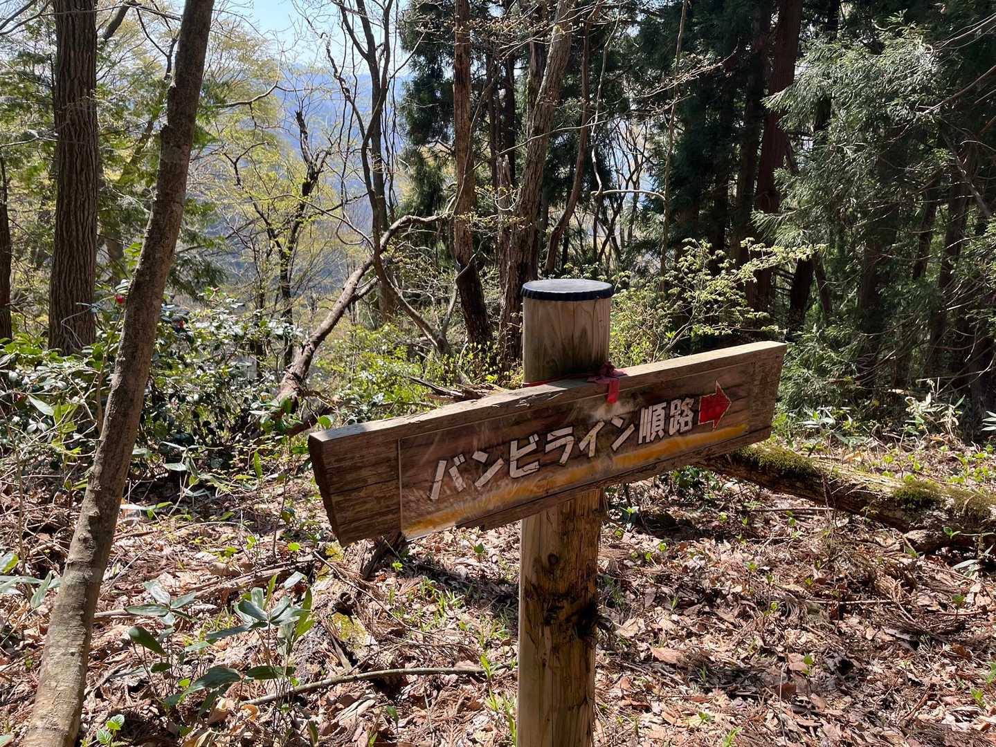 バンビライン登山口-小鹿山-比島駅 周回コースの写真