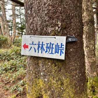 降りれる訳もなく