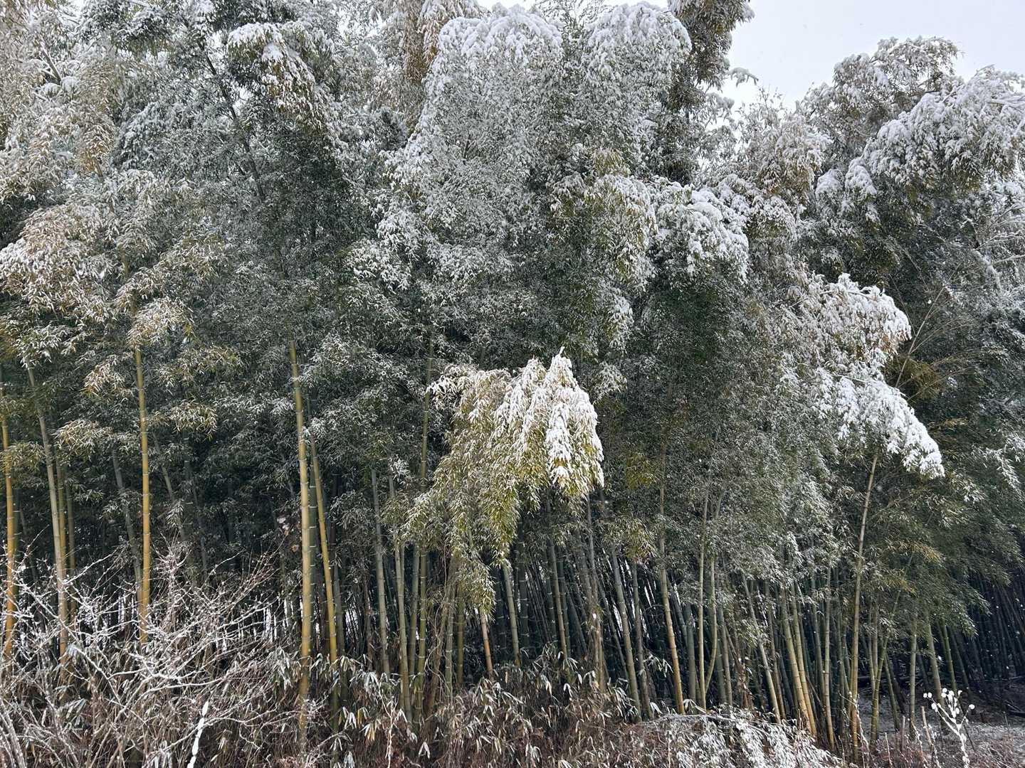 地産地消🤭