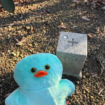 ピークの看板…….朝日山