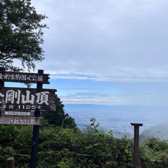 関東から来たらしい人にミャクミャクどこに居ますか？
って聞かれました💦

場所は教えたけど辿り着けたかな