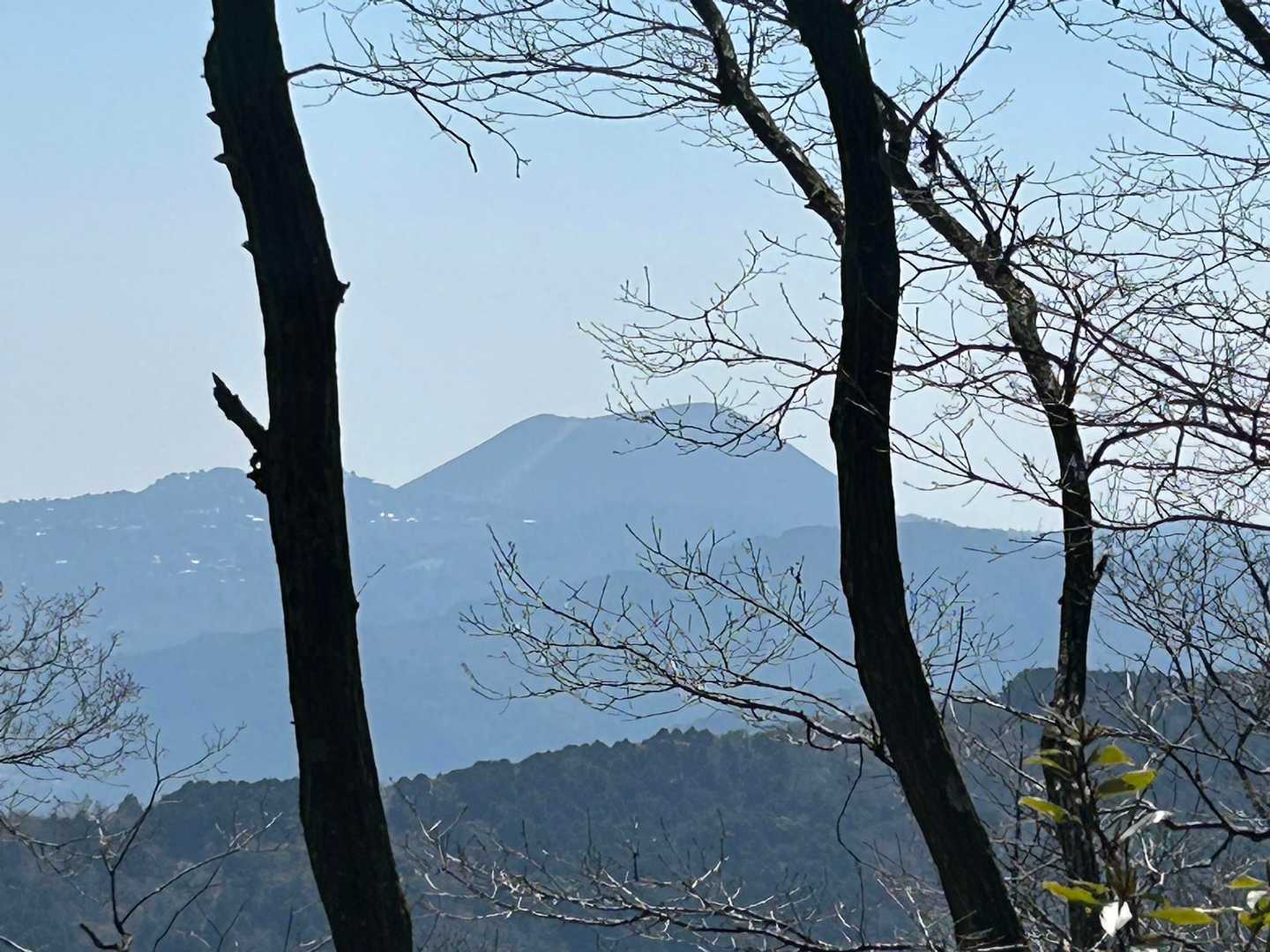 大室山が木々の間から