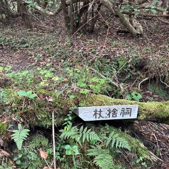 杖捨祠
蜘蛛の巣が多かったから拾った枝が役に立ちました。確かに杖じゃないけどここから先は大丈夫だったかな⁈