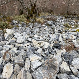 岩場もあります！