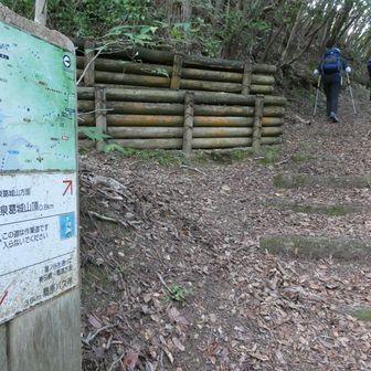 山頂まであと800m